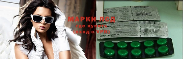 стаф Вяземский