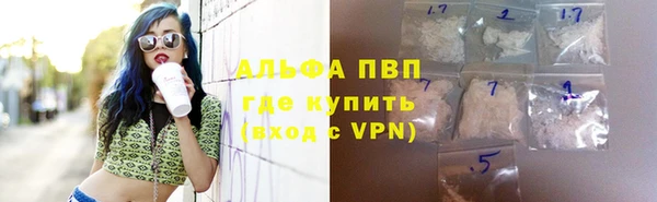 стаф Вяземский