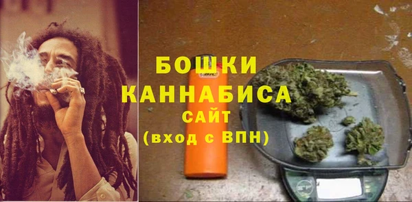 стаф Вяземский