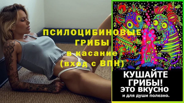 стаф Вяземский